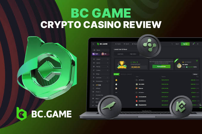 Maximize Your Wins Exploring BC.Game Bonuses